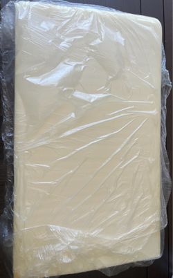 Cushion Pad (no cover)