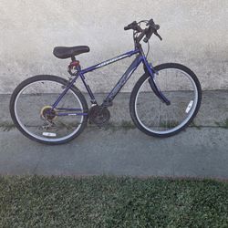 Bike Next  26 Ins 15 Speed  2 New  Tires 