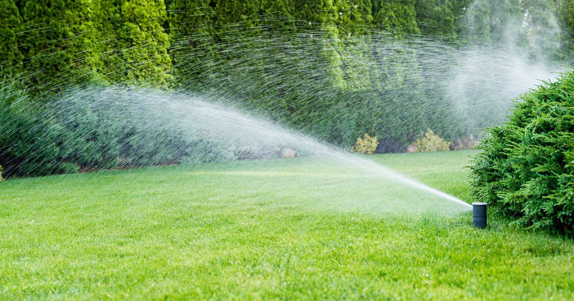 Honey bird/ hunter sprinklers systems