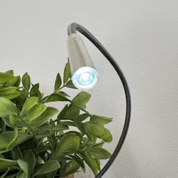 LED Desk Lamp