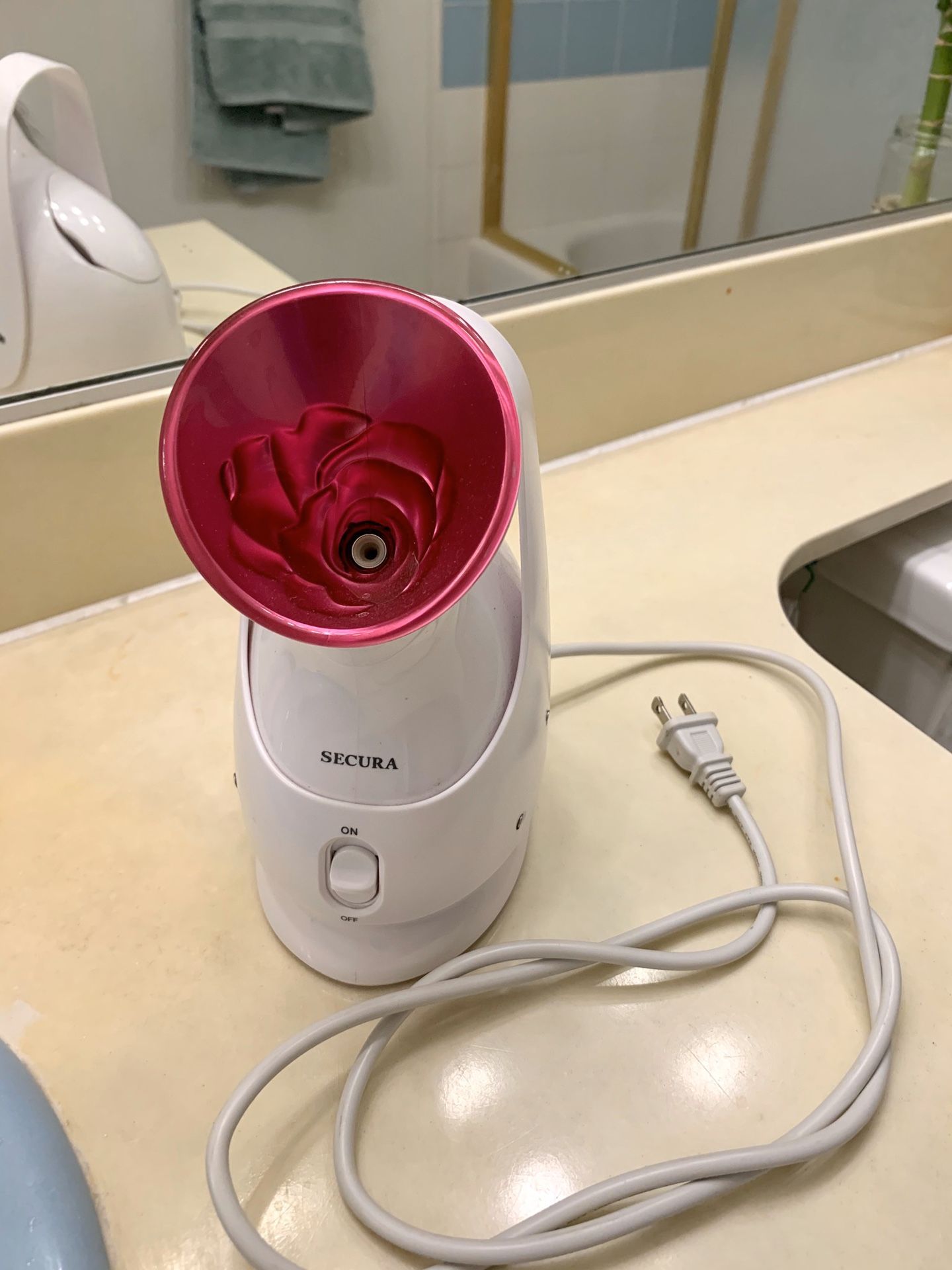 Facial steamer