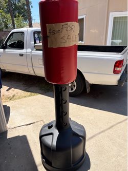 Century Punch / kick bag