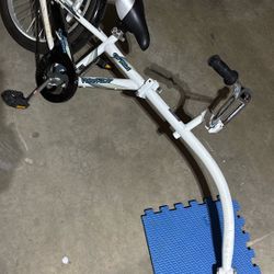 Tag A Long Bike WeeRide