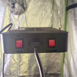 Growing lights 420
