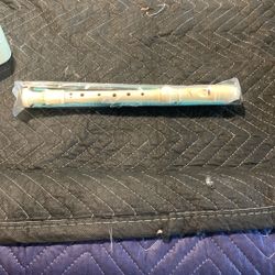Flute for school