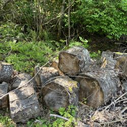 WOOD - Seasoned Fir Rounds -  2 To 3 Cords Worth