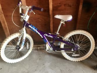 Schwinn Child’s Bike
