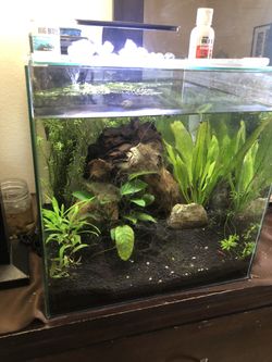 15 Gallon Tank 