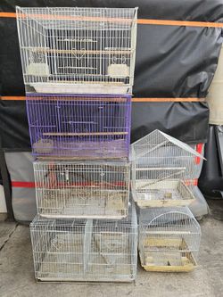 Bird Cages