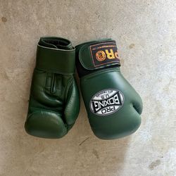 Pro Boxing Gloves