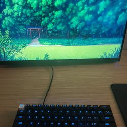 Razer Huntsman Mini (purple clicky switches)