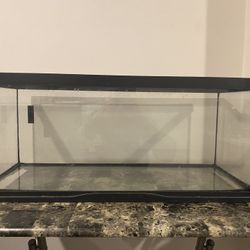 20 Gallon Tank 