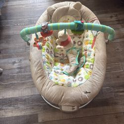 Winnie The Pooh Bouncer
