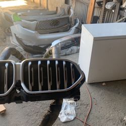 020 022 BMW X6 Grille Complete