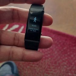 Fitbit Charge Movband