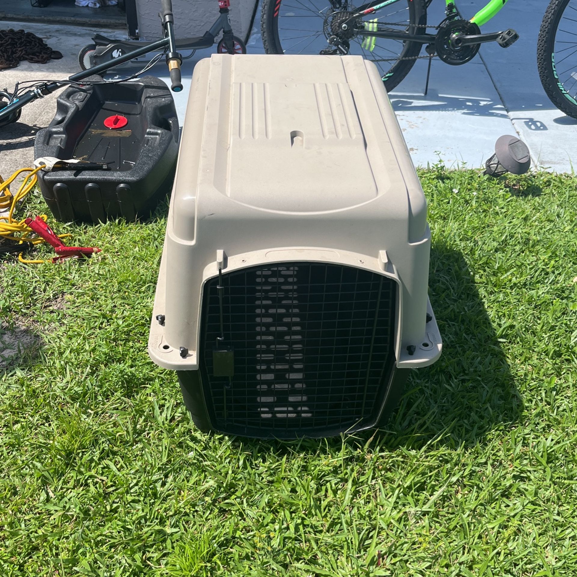 Dog Kennel
