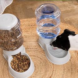 Automatic Feeder For Dog Or Cat