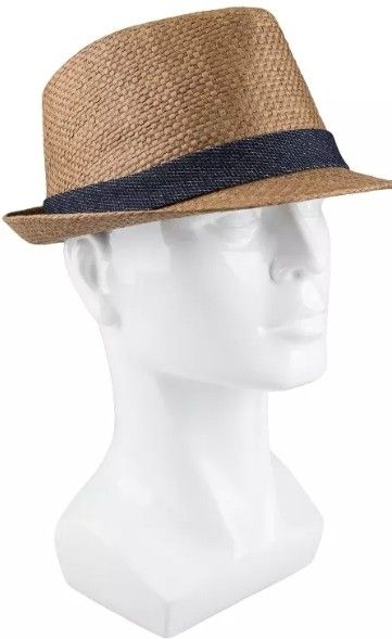 Levis Straw Fedora Hat