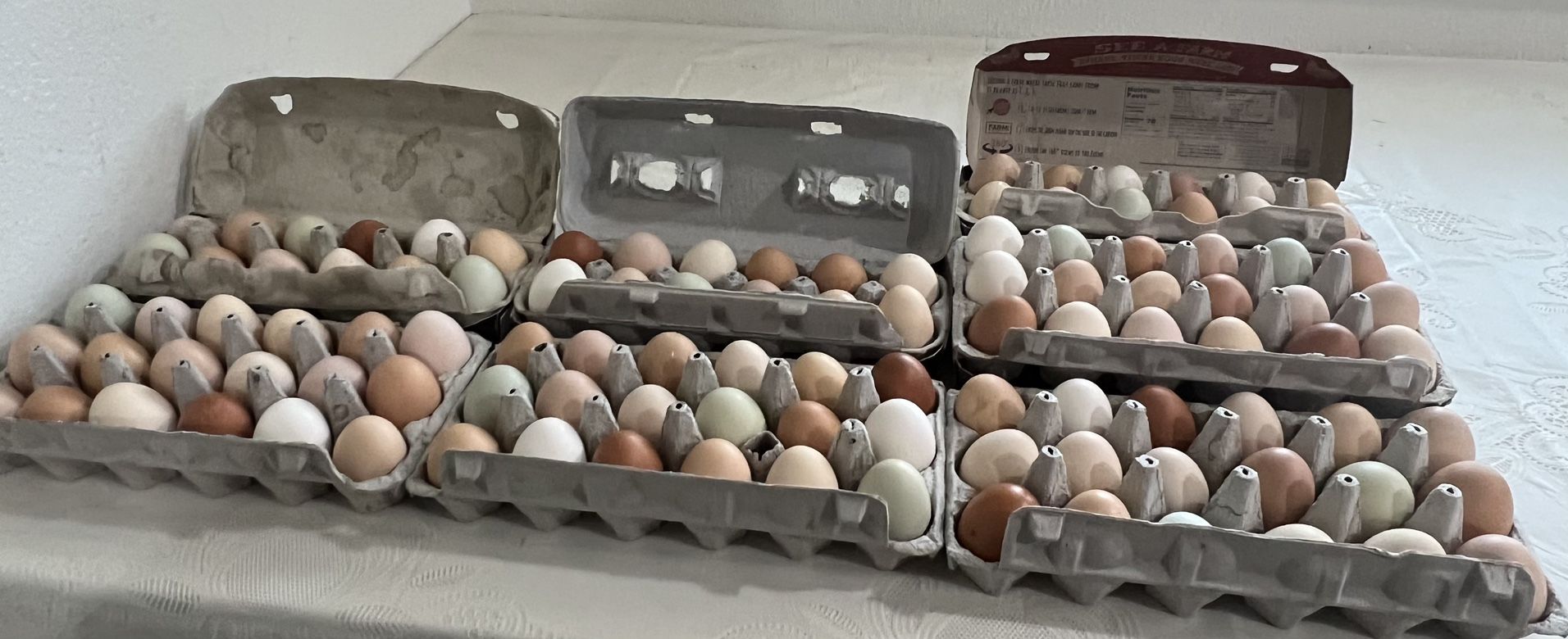 Fresh Organic Eggs
