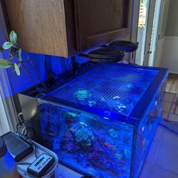 Large Fish Tank Complete for Sale in Lake Zurich, IL - OfferUp