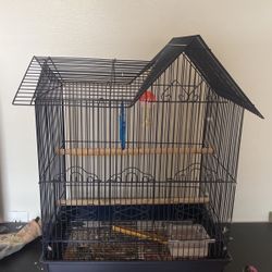 Bird Cage