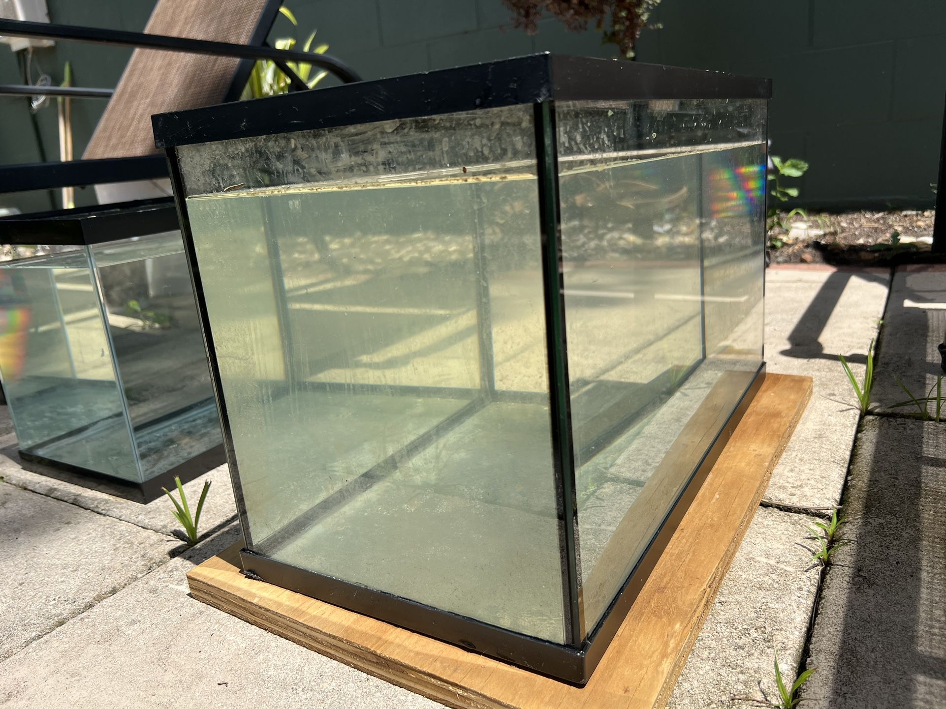 10 Gallon Fish Tank