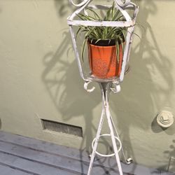 Plant Stand 