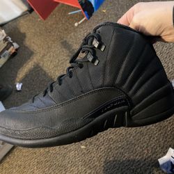 Jordan’s 12 retro winterized