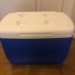 Igloo Cooler