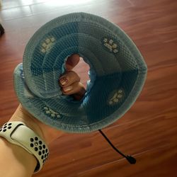 Cono Para Cirugía De Mascotas 