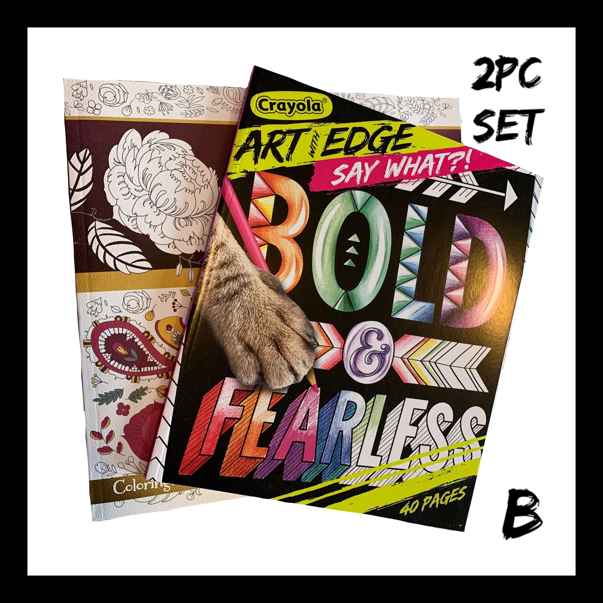 *NWT 2Pc Adult Coloring Book Set B
