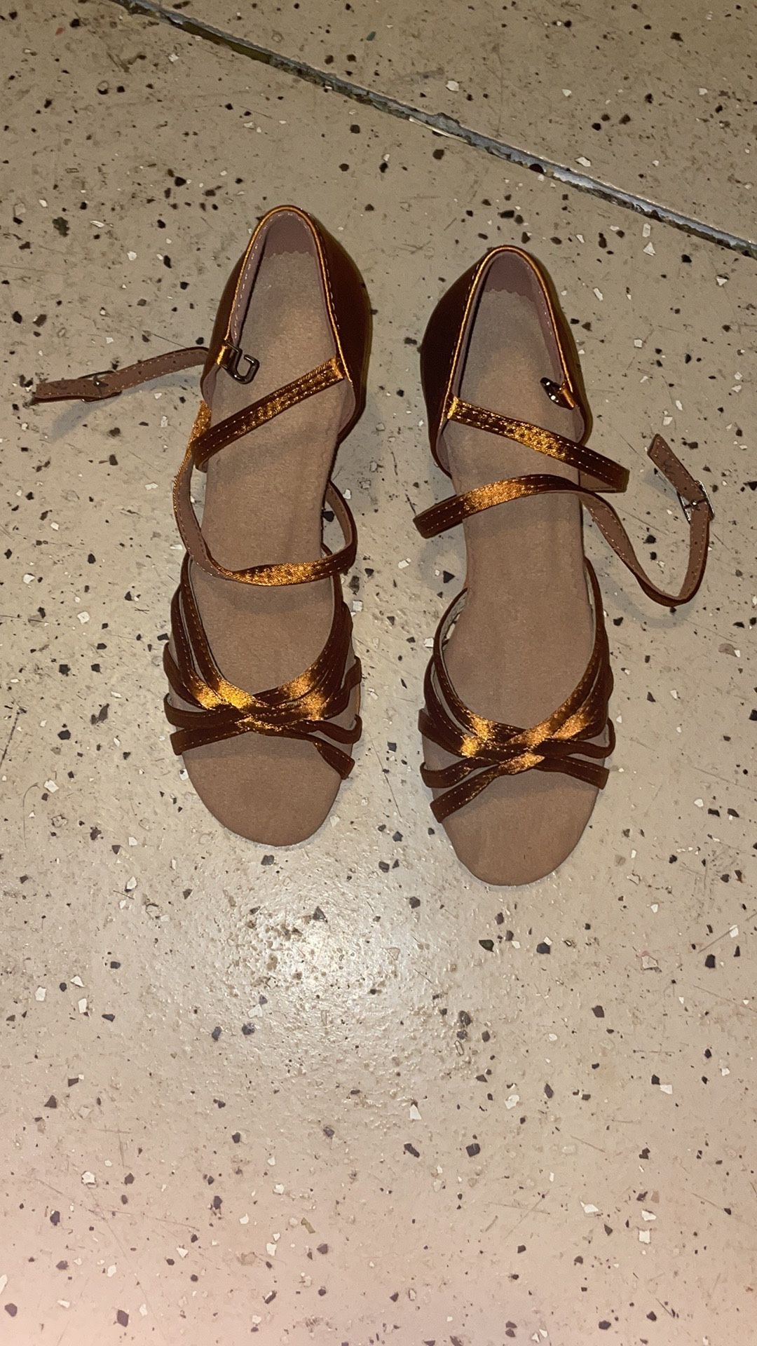 Elegant Brown Strappy Women’s Sandals