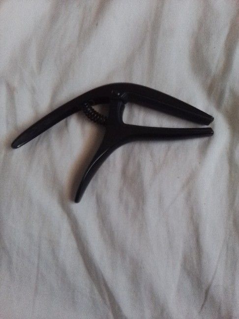 Ernie Ball Capo