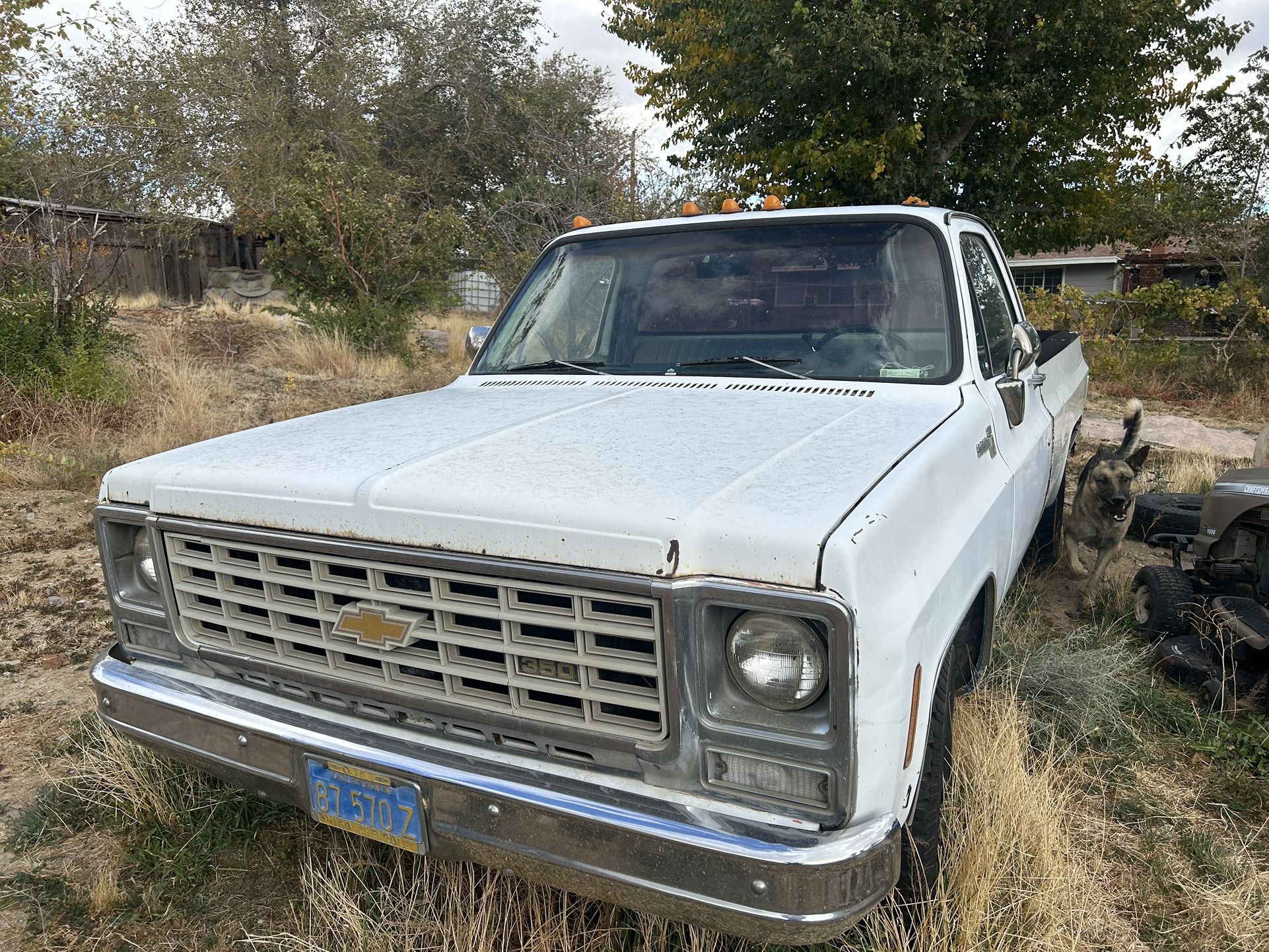 1975 Chevy C20