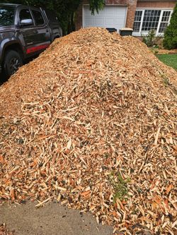 Free mulch!