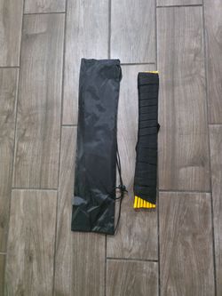 Portable training ladder