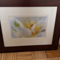 Barbara Bordnick Print Gorgeous 🖼 Frame