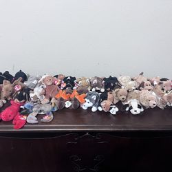 Vintage Beanie Babies With Rare Tag Errors