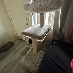 cat tree