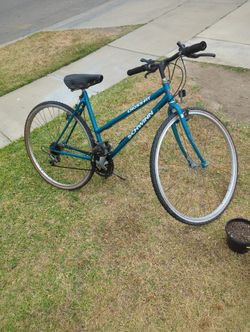 1schwinn bike Teal Green Only
