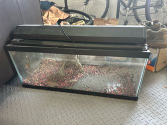20 gallon long fish tank. Has cover, light, gravel, filter.