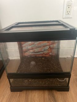 Crested gecko enclosure