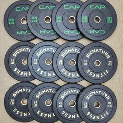 25lb $1 A Pound Bumper Weight Plates