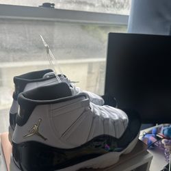 Jordan Retro 11 (2023)DMP Gratitude Size 12