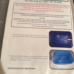 Mushroom Grow Kit