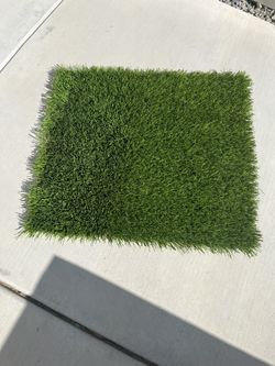 Dog Pee Pads For Pups