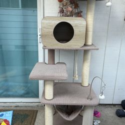 Cat Tower