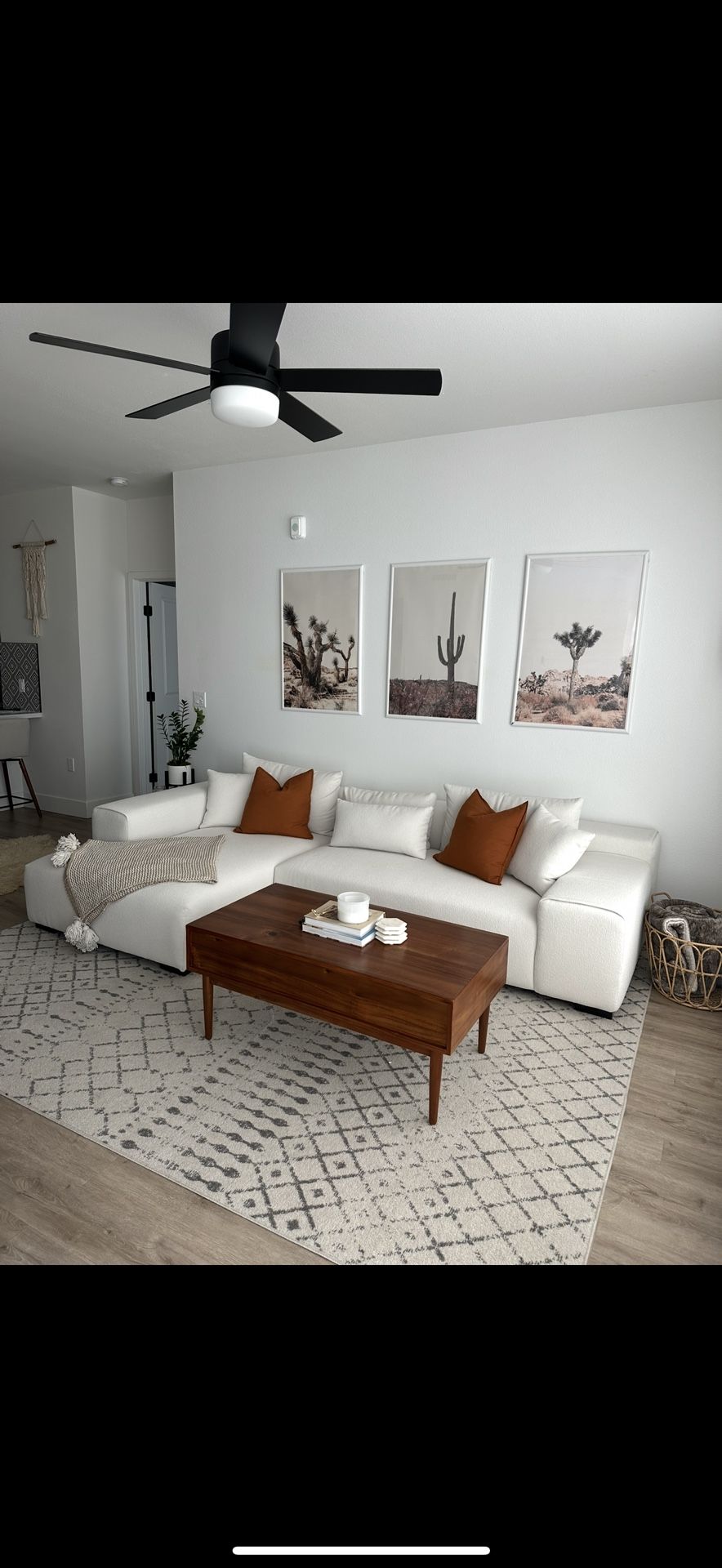 Sectional Couch