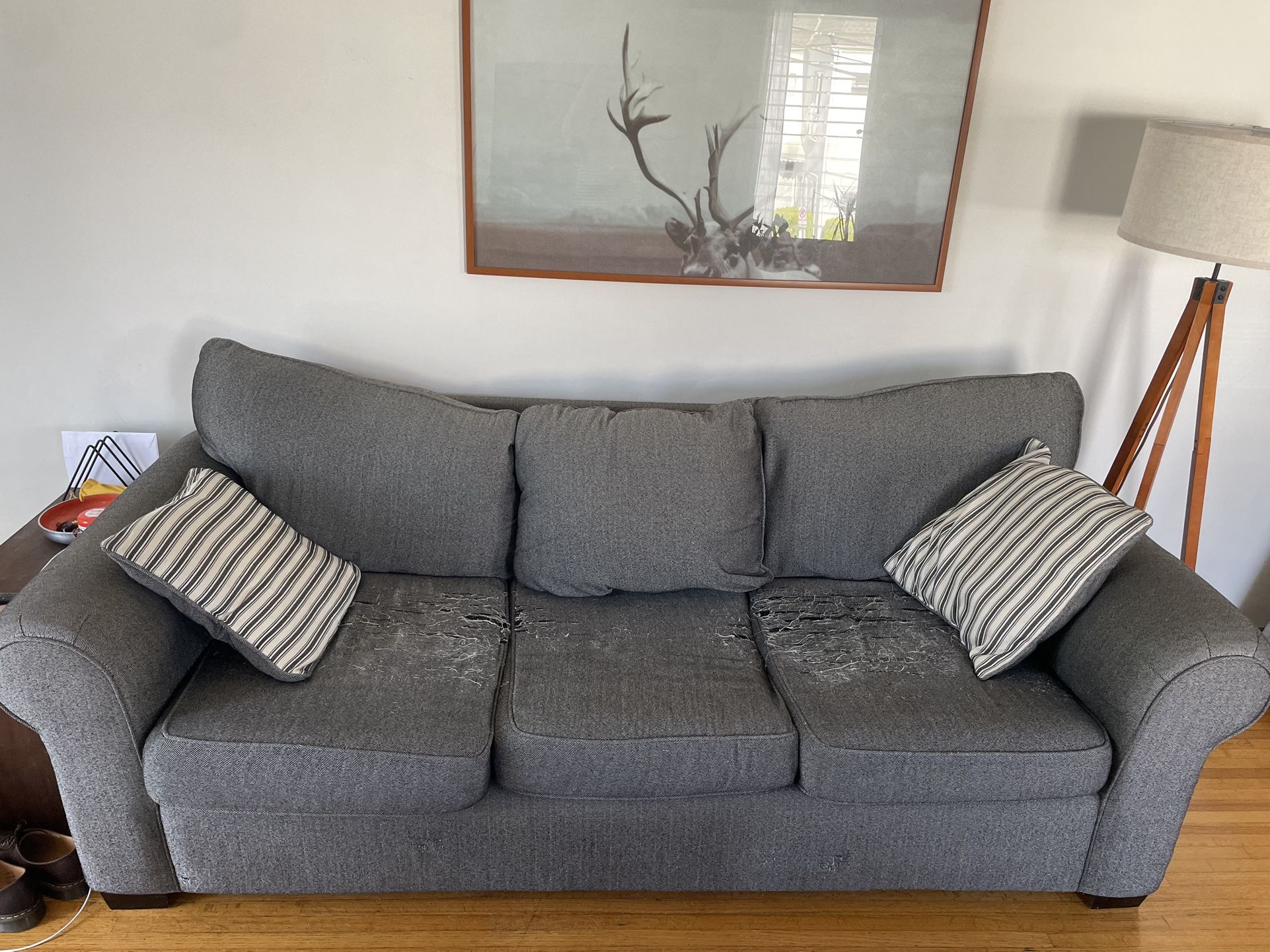 Free Sleeper Sofa
