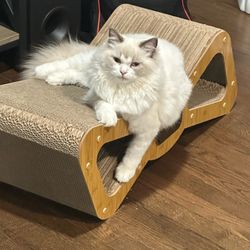 Cat Scratching Cardboard ,Bow Tie Cat Scratcher Cardboard